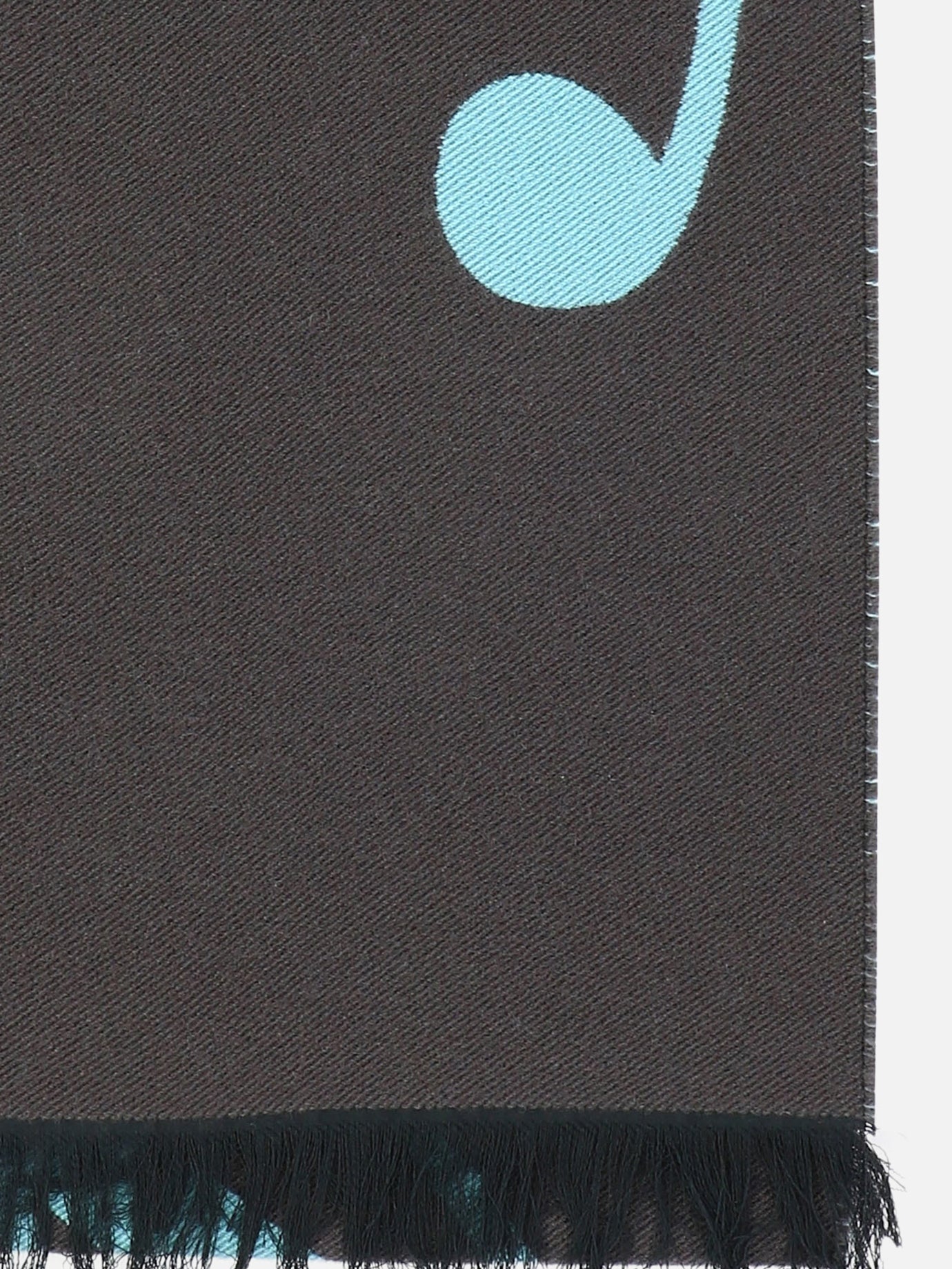 Fringed scarves 8079175  Brown - Burberry Women | PDP | VIETTI Online Store | thumbnail_2