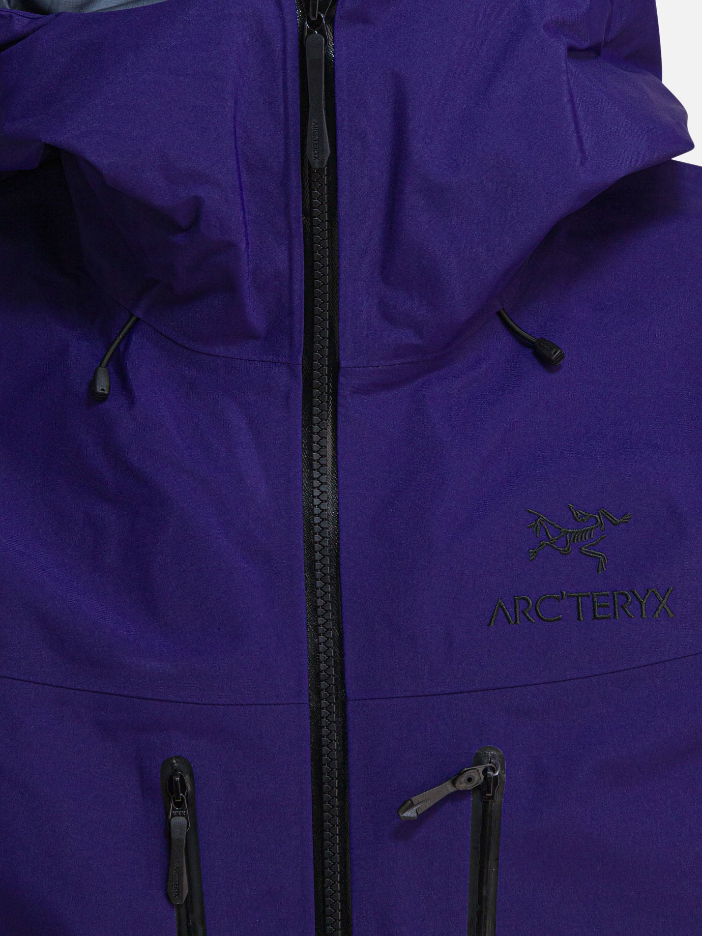 Giacche tecniche Logo  Viola - Arc&#39;teryx Uomo | PDP | VIETTI Online Store | thumbnail_3