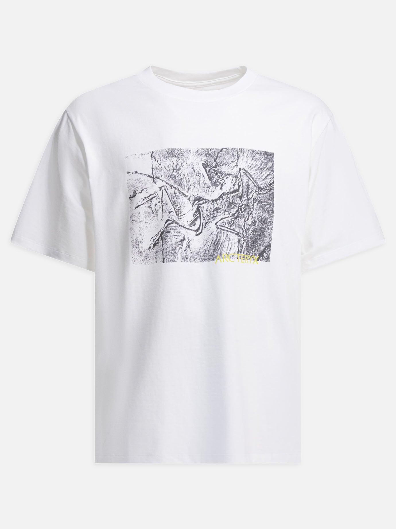 T-shirt girocollo Graphics  Bianco - Arc'teryx Uomo | PDP | VIETTI Online Store | Zoom-Modal

