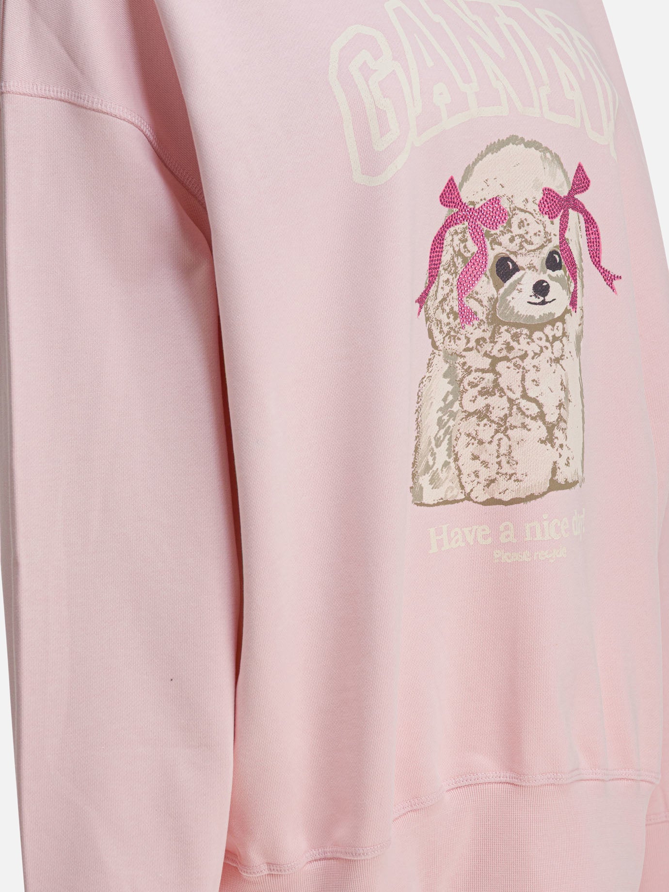 Crewnecks Logo  Pink - Ganni Women | PDP | VIETTI Online Store | Zoom-Modal_4
