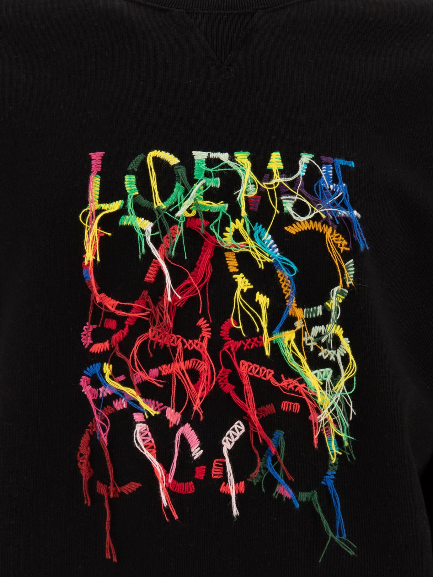 Loewe Embroidered sweatshirt Black