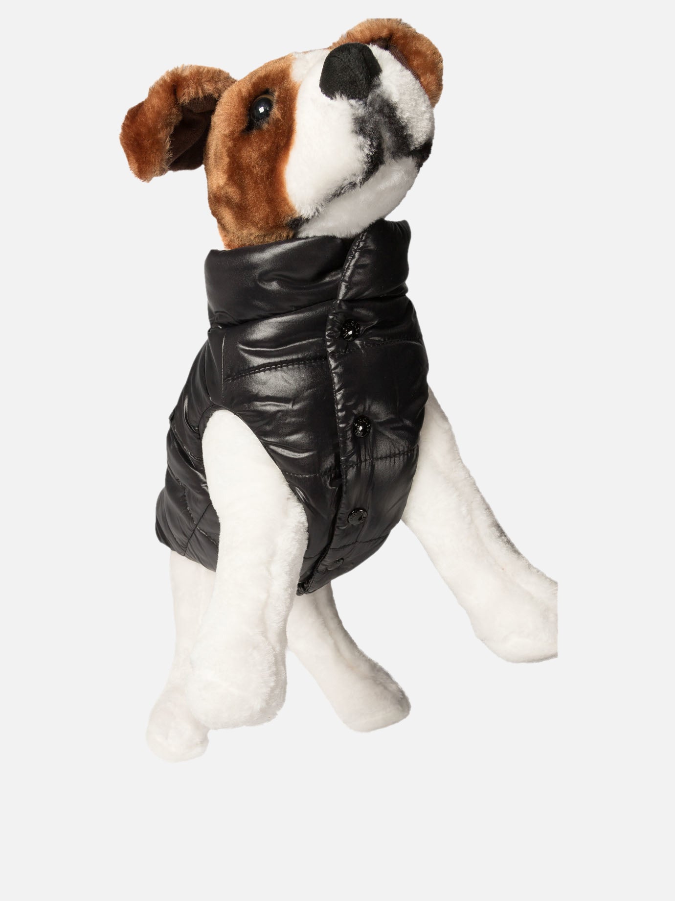 Moncler Poldo Dog vest Black