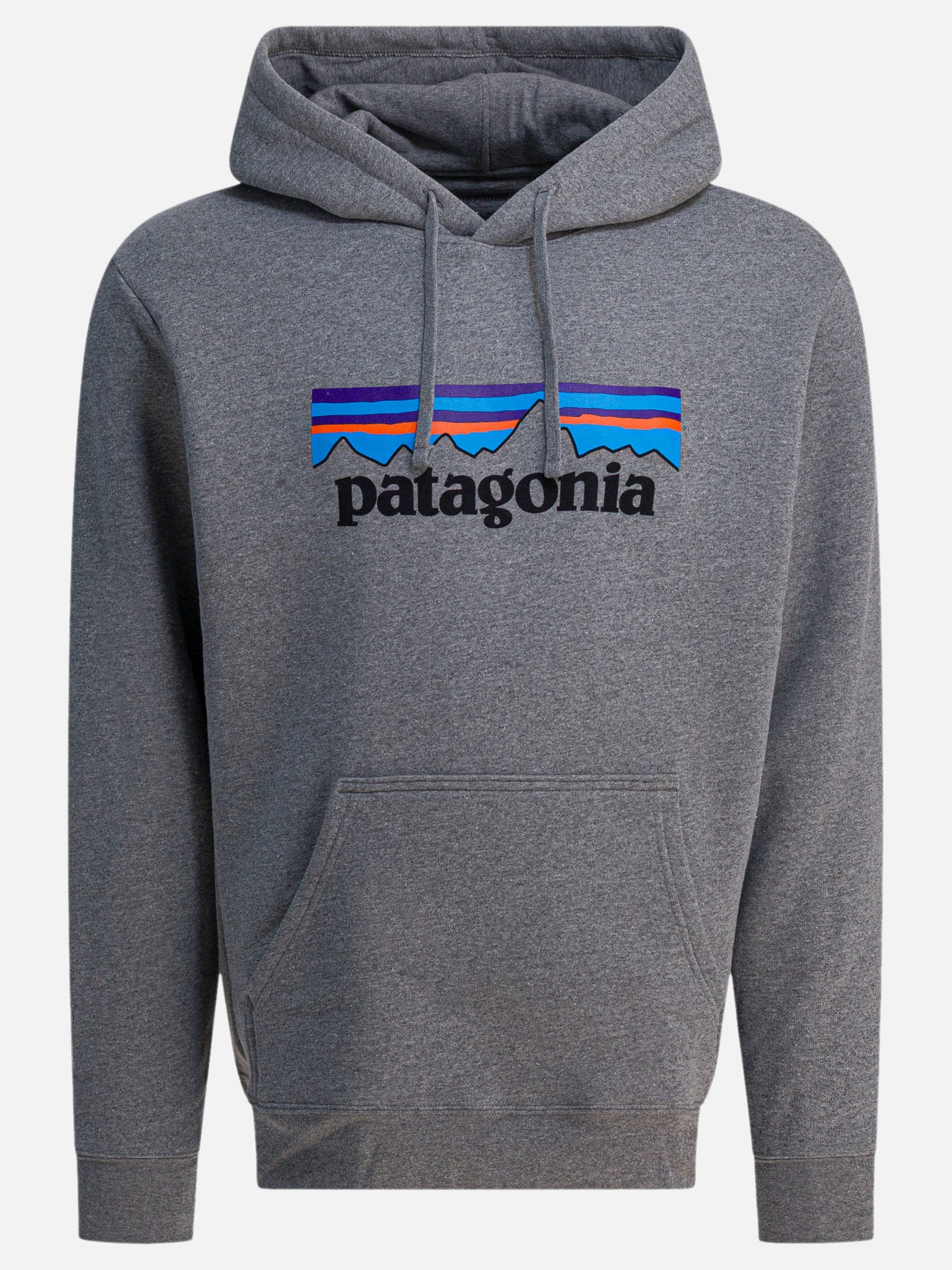 Hoodies Logo  Grey - Patagonia Men | PDP | VIETTI Online Store | thumbnail